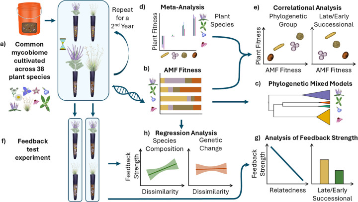 Figure 31