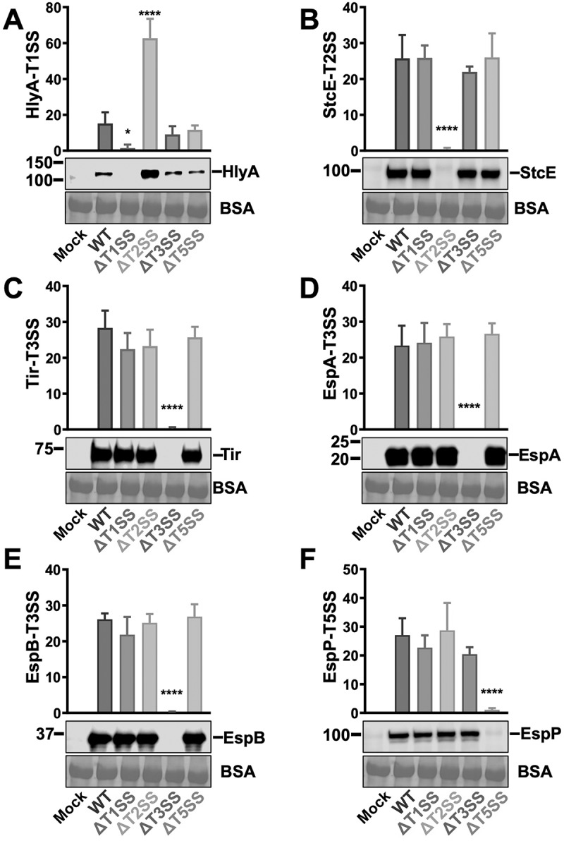 Figure 18