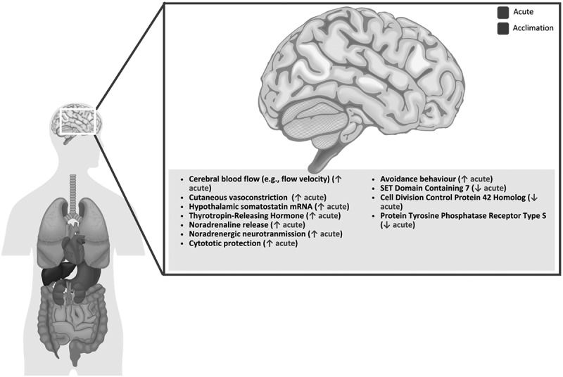 Figure 18