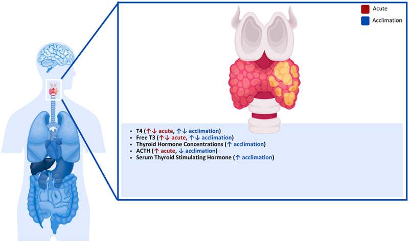 Figure 19