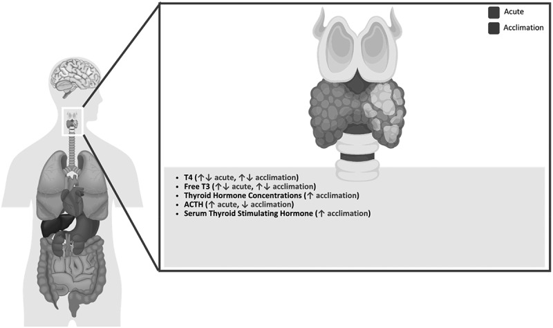 Figure 20