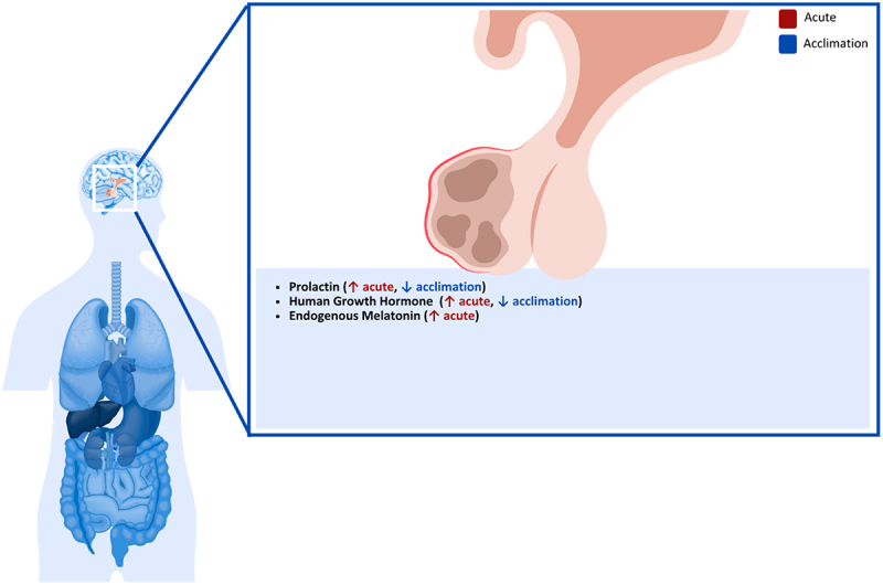 Figure 21