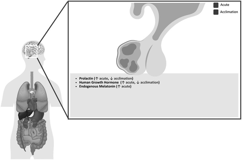 Figure 22
