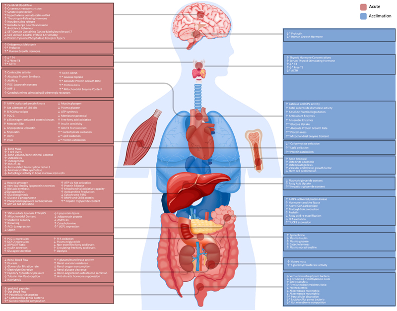 Figure 23