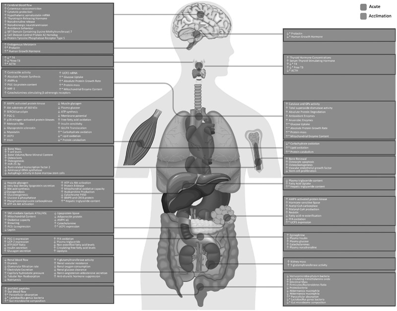 Figure 24