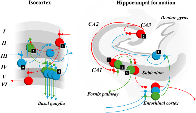 Figure 6