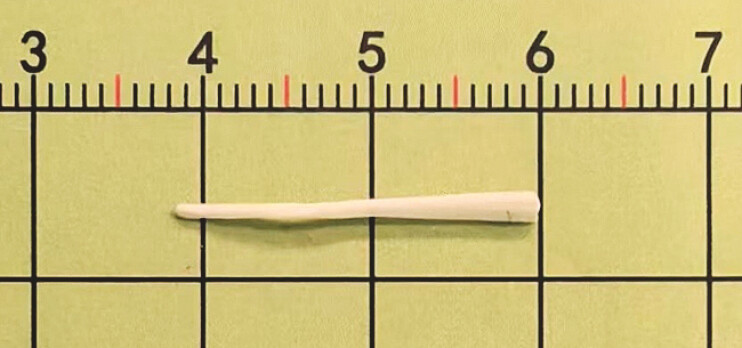 Fig. 4