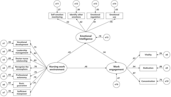FIGURE 1