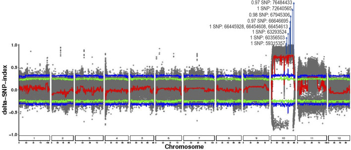 FIGURE 3
