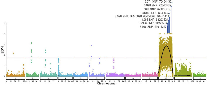 FIGURE 5