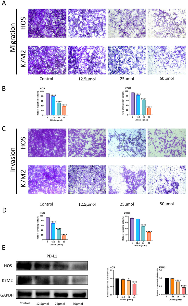Figure 2