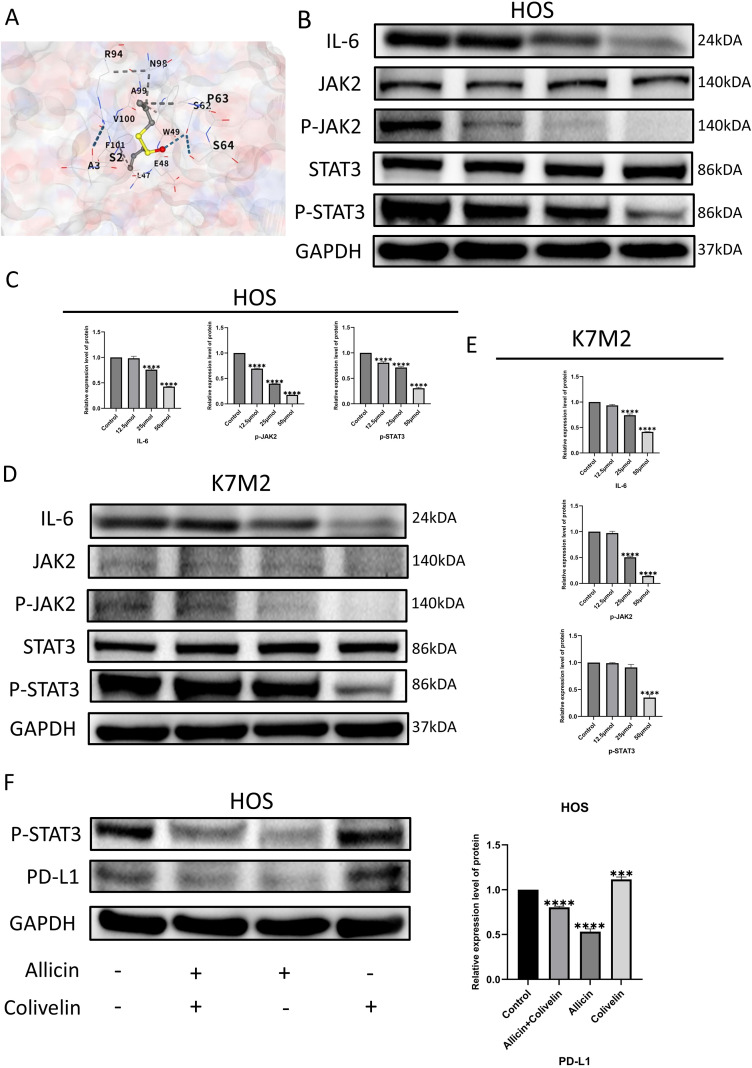 Figure 4