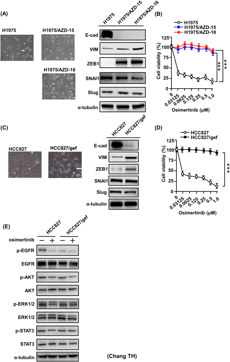 Figure 5