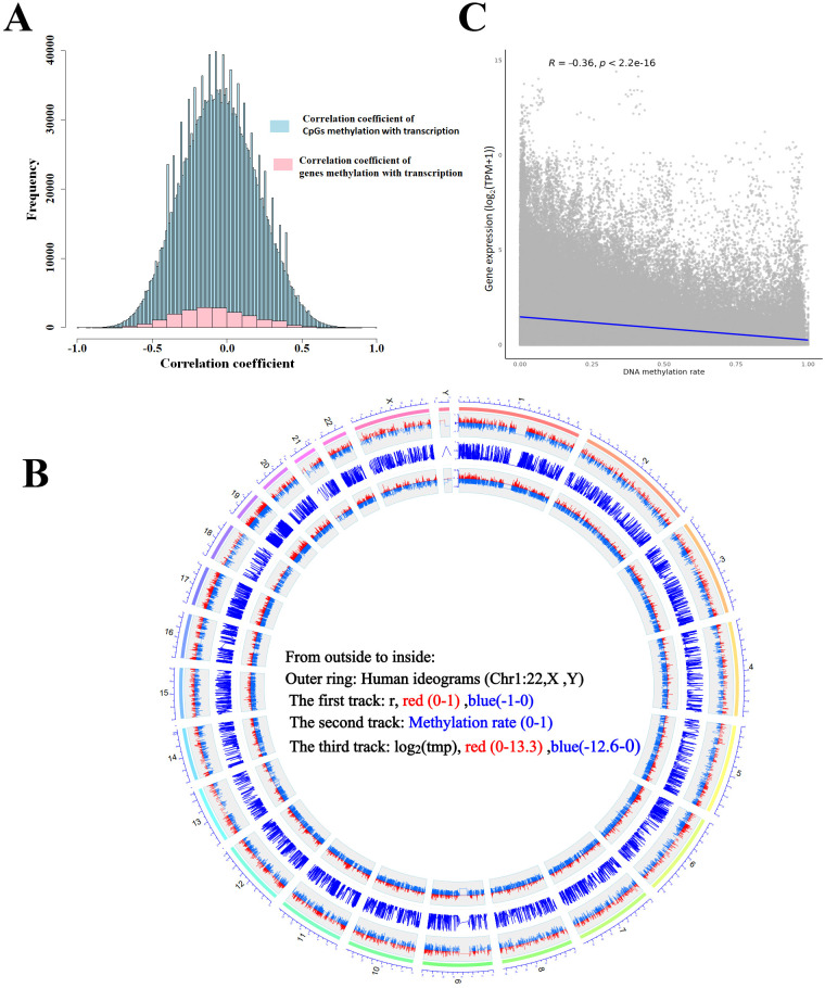 Figure 2