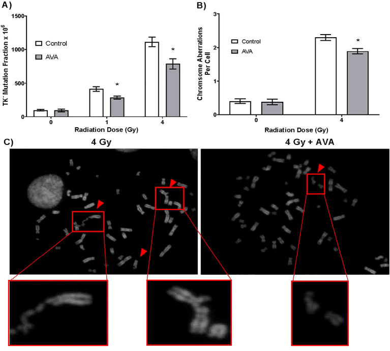 Figure 2