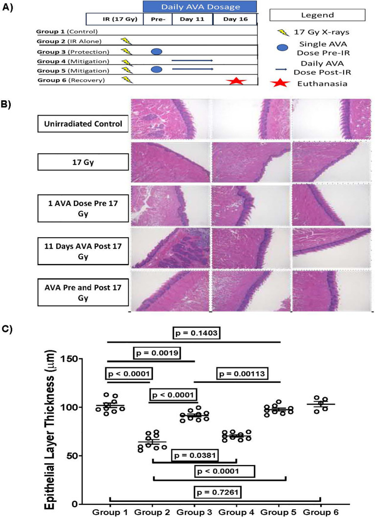 Figure 5