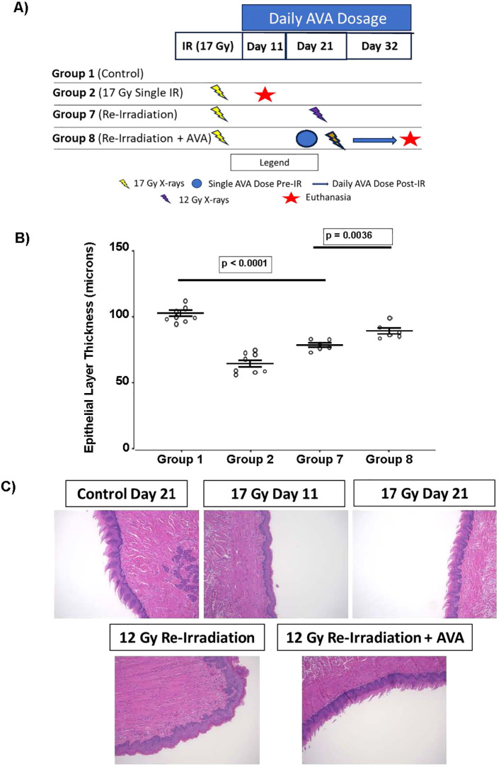 Figure 6