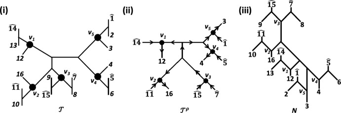 Figure 9