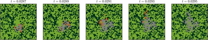Figure 12