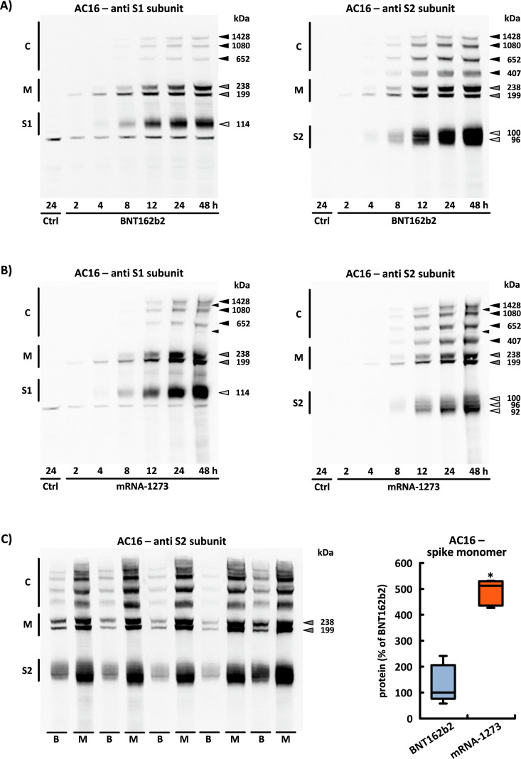 Figure 1