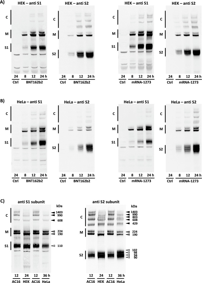 Figure 3
