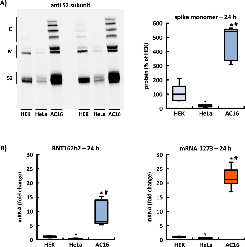 Figure 4