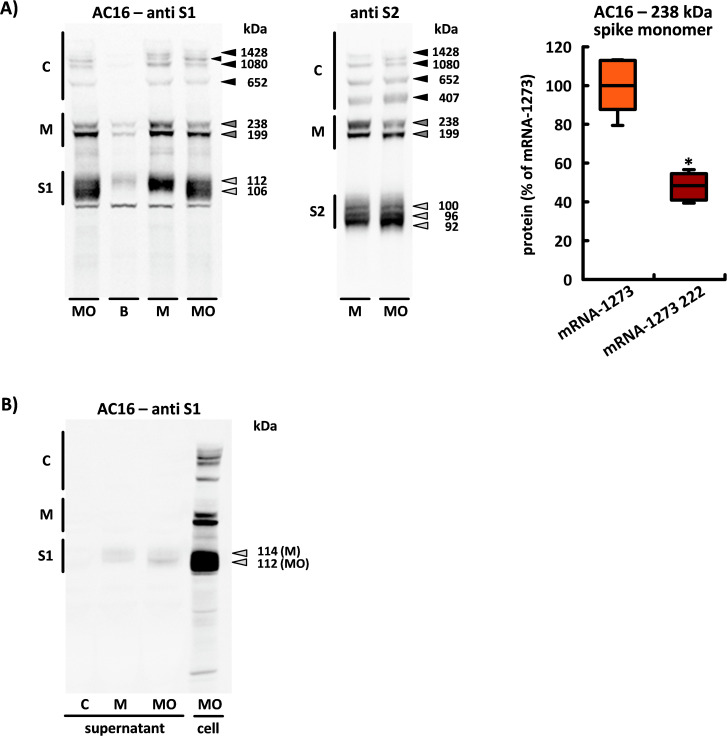 Figure 10