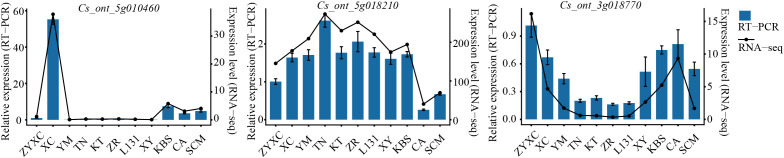 Figure 7