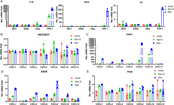 Figure 4