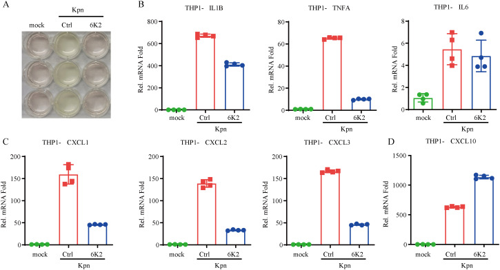 Figure 5