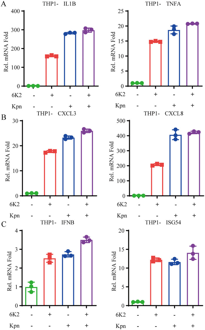 Figure 6