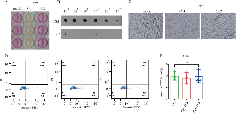 Figure 7