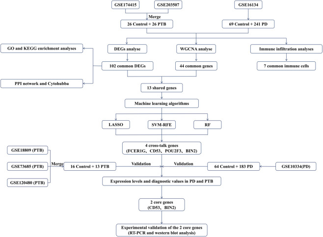 FIGURE 1