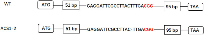 Figure 1