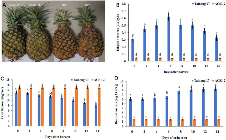 Figure 3