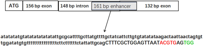 Figure 5
