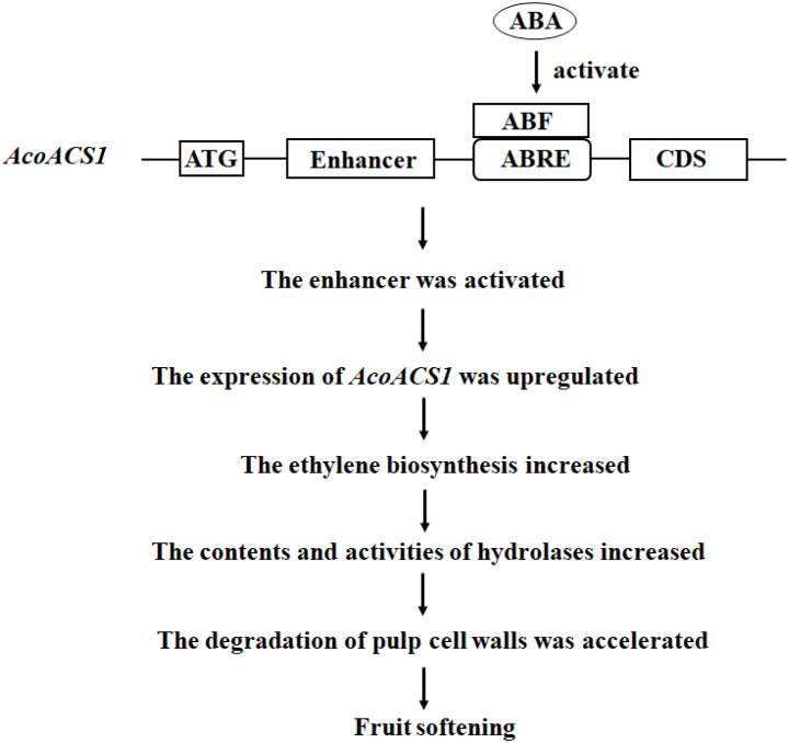 Figure 10