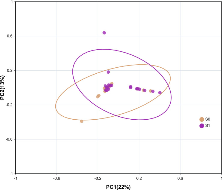 Figure 5