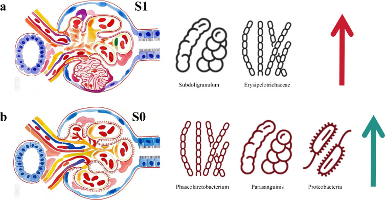 Figure 11