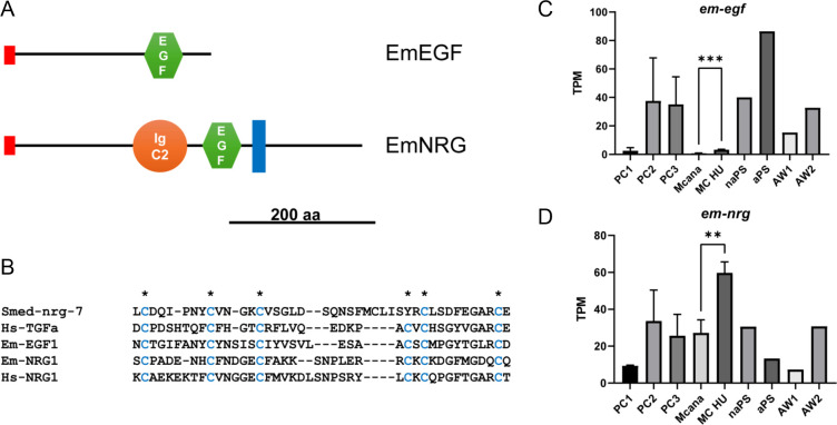 Figure 6