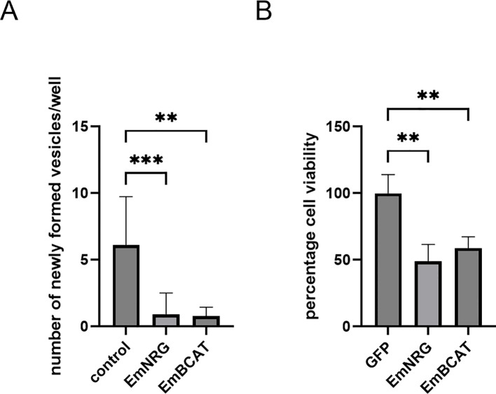 Figure 10