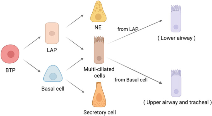 FIGURE 3