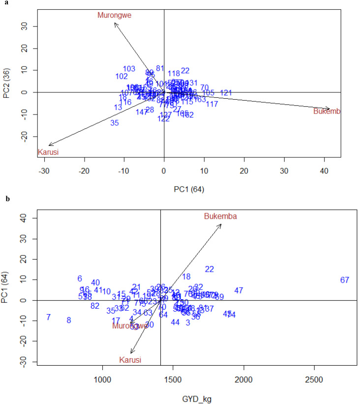 Figure 6