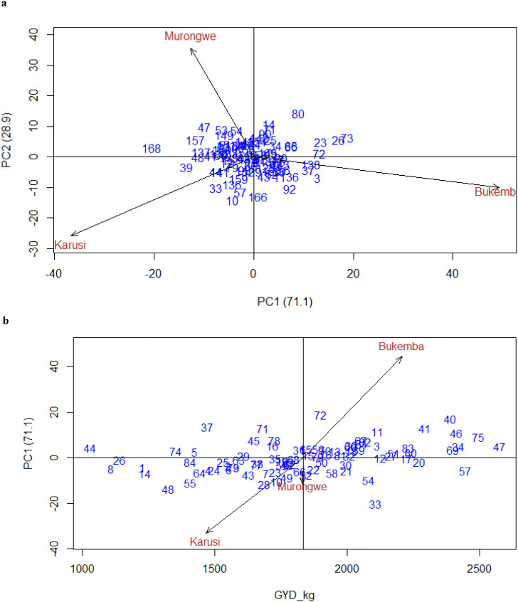 Figure 9