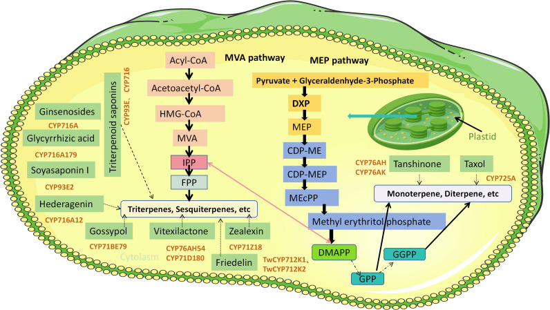 Figure 3