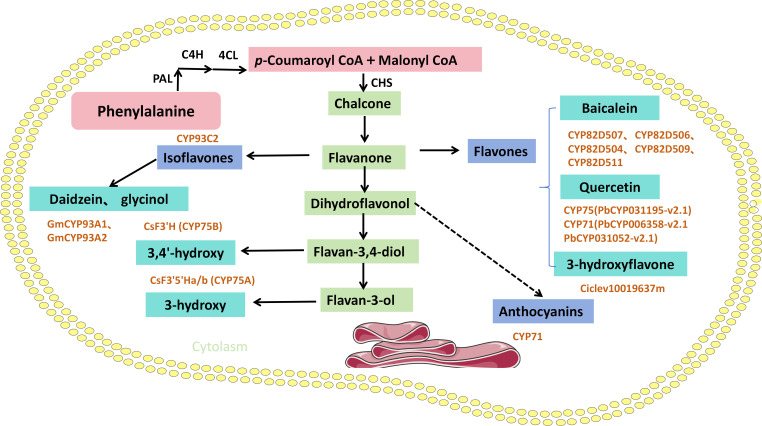 Figure 4