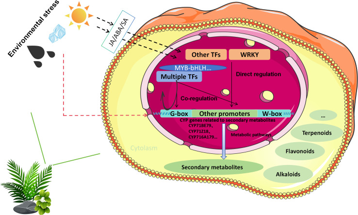 Figure 5