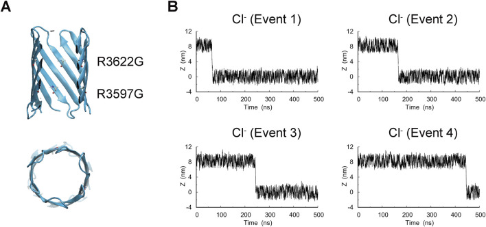 FIGURE 4
