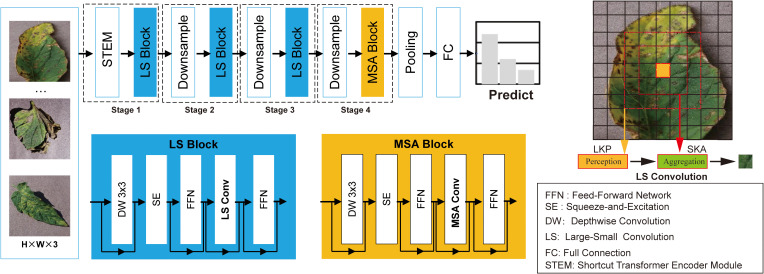 Figure 3