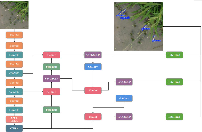 Figure 2